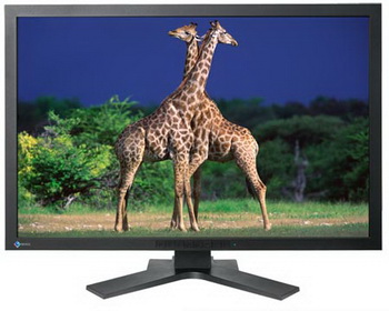 EIZO colorEdge CG303W 